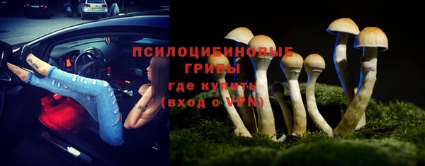 гидра Нягань