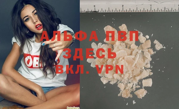 амф Аркадак